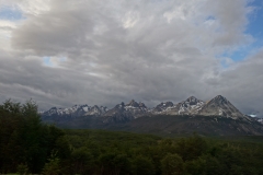 DSC05725