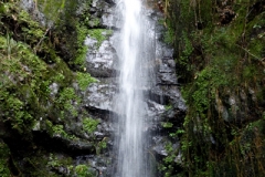DSC02556