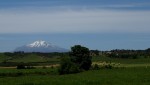 DSC05065