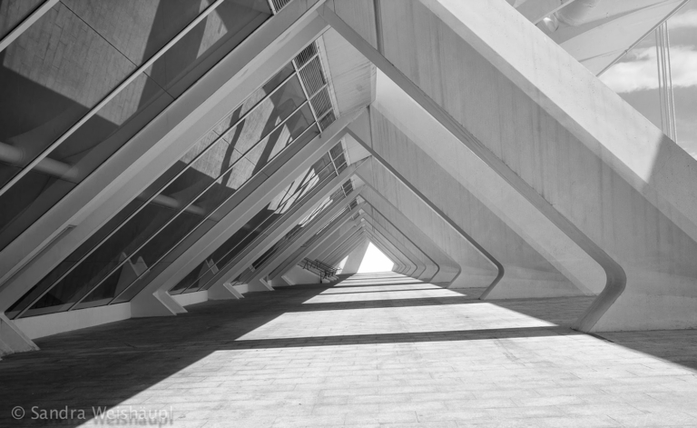 Ciudad de las Artes y las Ciencias, Valencia