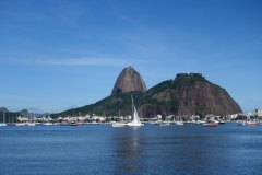 DSC06229