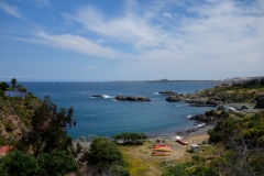 DSC04437