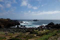 DSC04471