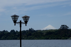 DSC05064