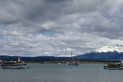 DSC05629