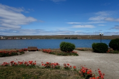 DSC05676