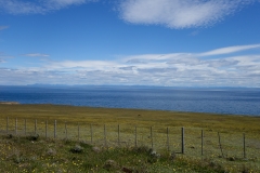 DSC05681