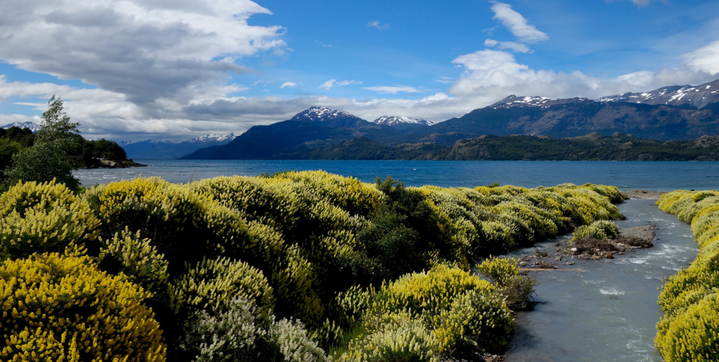 Naturfotografie Chile, Patagonien