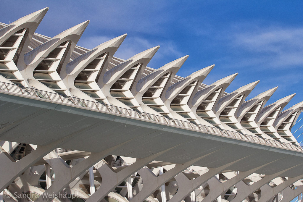 Ciutat de les Arts i les Ciències in Valencia