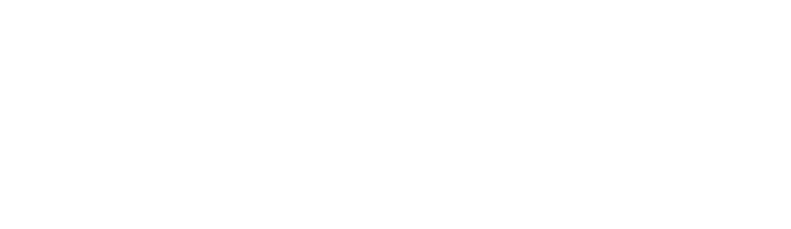Logo Durch die Linse in weiß
